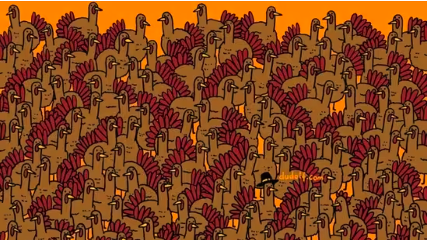 Can you spot 3 roosters hiding among turkeys in Thanksgiving optical illusion – only people with a high IQ can see them